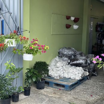 Jardin Lily - Entrada - Community Gardens Near Me - Caguas, Puerto Rico