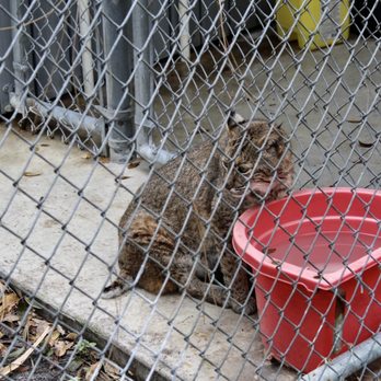 Busch Wildlife Sanctuary - Zoos Near Me - Jupiter, Florida