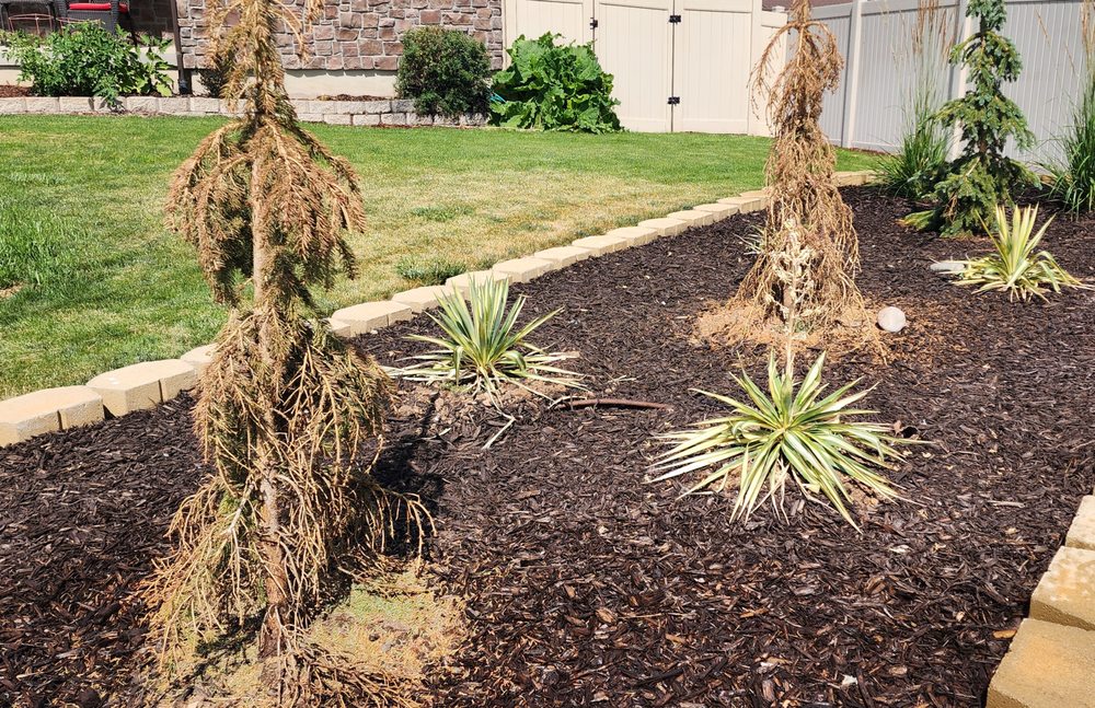 Country Gardens & Nursery - tree service in Heber City, UT