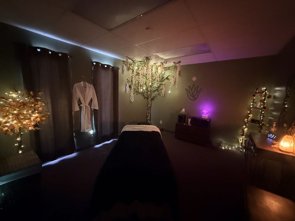 Vida Holistic Healing Logo