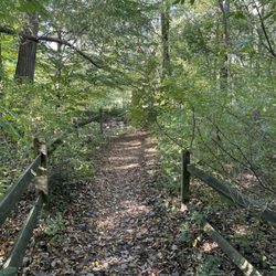 Lake Erie Arboreturm at Frontier