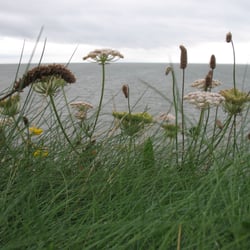 St Donats Castle