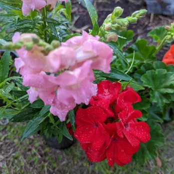 Garden Shack - Nurseries & Gardening Near Me - Jacksonville, Florida Garden Shack - Nurseries & Gardening Near Me - Jacksonville, Florida