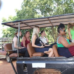 Amandani Tours Africa
