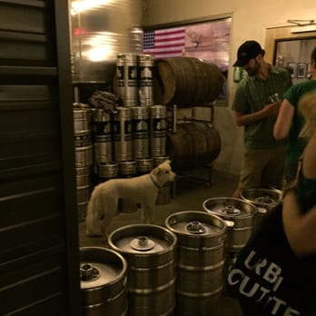 Sycamore Brewing - Cutest pup you've ever seen! - Breweries Near Me - Charlotte, North Carolina