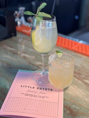 Little Coyote by null