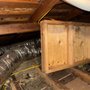Photo of Attic Team