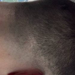 Noble Savage Barbershop
