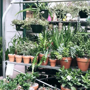 Vault + Vine - Flowers & Gifts Near Me - Philadelphia, Pennsylvania Vault + Vine - Flowers & Gifts Near Me - Philadelphia, Pennsylvania