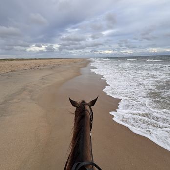 Equine Adventures - Beach ride! - Horseback Riding Near Me - Buxton, North Carolina Equine Adventures - Beach ride! - Horseback Riding Near Me - Buxton, North Carolina