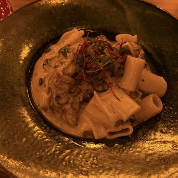 Primal Steakhouse - Short rib rigatoni - Steakhouses Near Me - The Colony, Texas Primal Steakhouse - Short rib rigatoni - Steakhouses Near Me - The Colony, Texas