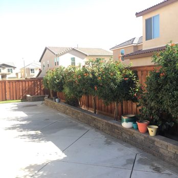 Ortega's Jr Tree Service - After - Tree Services Near Me - Riverside , California Ortega's Jr Tree Service - After - Tree Services Near Me - Riverside , California
