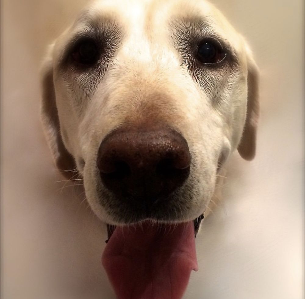 COMPLETE ANIMAL EYE CARE CENTER 42 Photos & 102 Reviews 14120 Ventura Blvd, Sherman Oaks