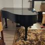 Photo of Piano Moving Art