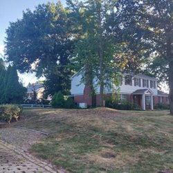 Mountain Man Tree Services