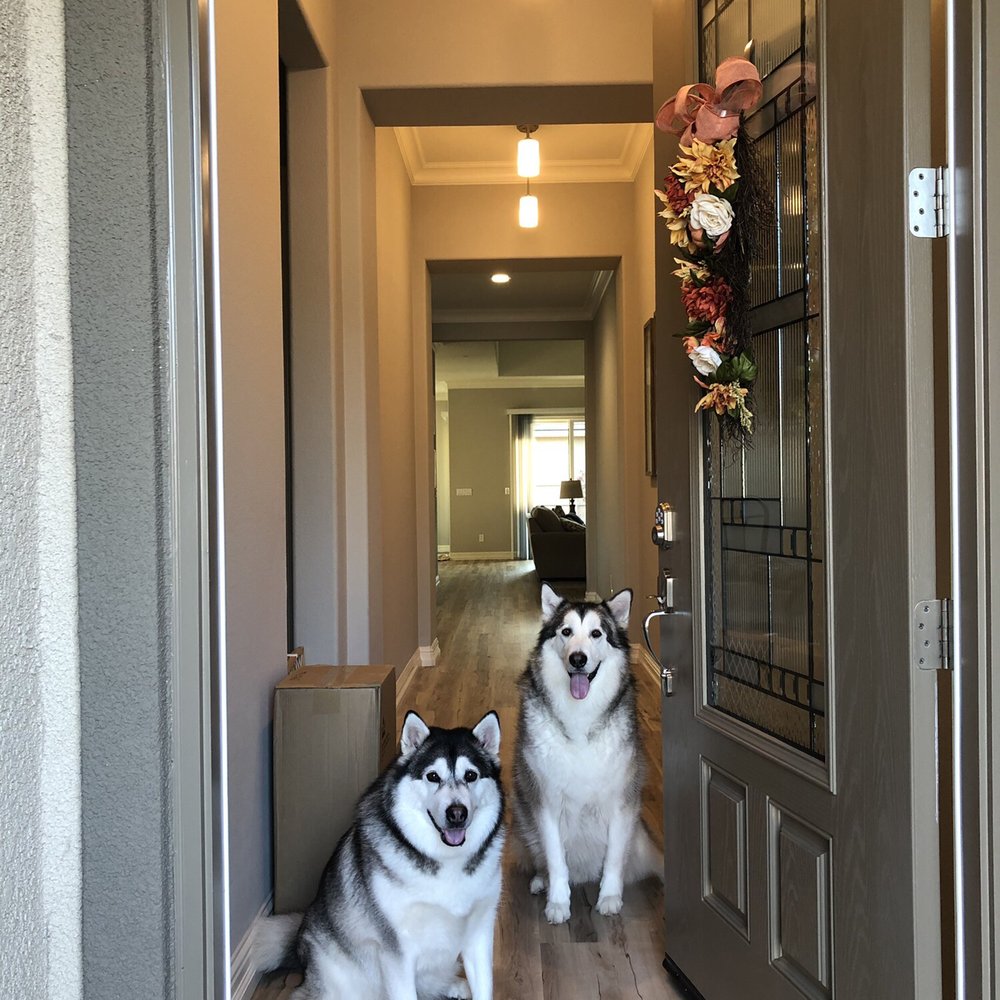 Our dogs can freely scratch at the floors without us being scared they will ruin them :)