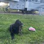 Photo of Village of the Trees RV Park