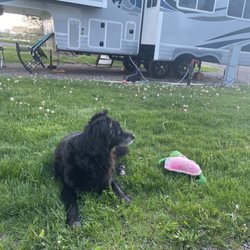 Village of the Trees RV Park - Dukie