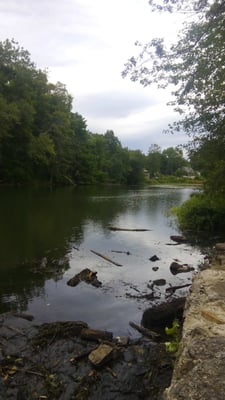 Griffith Park by null