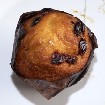The Daily Bagel - Cranberry muffin - Bagels Near Me - San Diego, California The Daily Bagel - Cranberry muffin - Bagels Near Me - San Diego, California