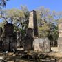 Photo of Bulow Plantation Ruins State Historic Site