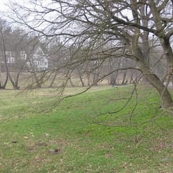 Rehwiese