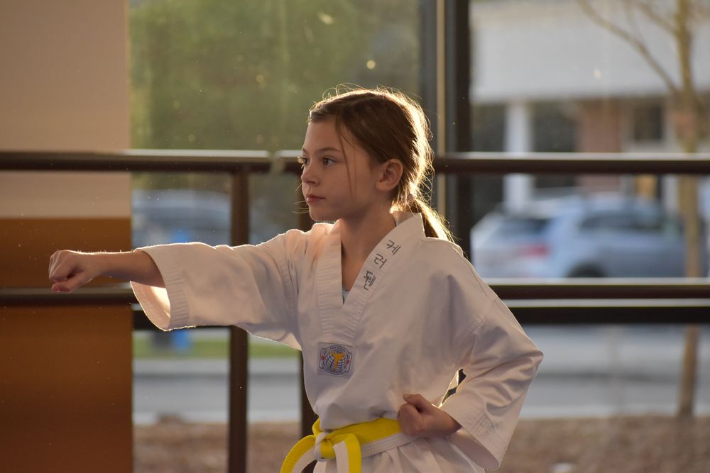Yong In Master Lee's Tae Kwon Do - wedding in Boise, ID