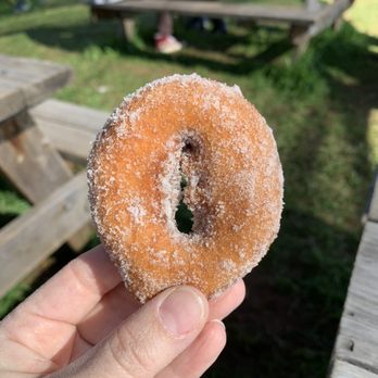 Rainbow Orchards - Let's do this! - Fruits & Veggies Near Me - Camino, California Rainbow Orchards - Let's do this! - Fruits & Veggies Near Me - Camino, California