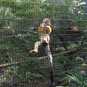 Zoo Miami - Zoos Near Me - Miami, Florida