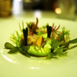 Quique Dacosta - The Cloud, the Cockles and the Razor Clams @endoedibles on Instagram for more