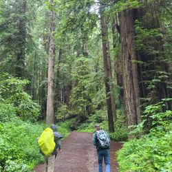 Redwood Adventures - My husband and Deon