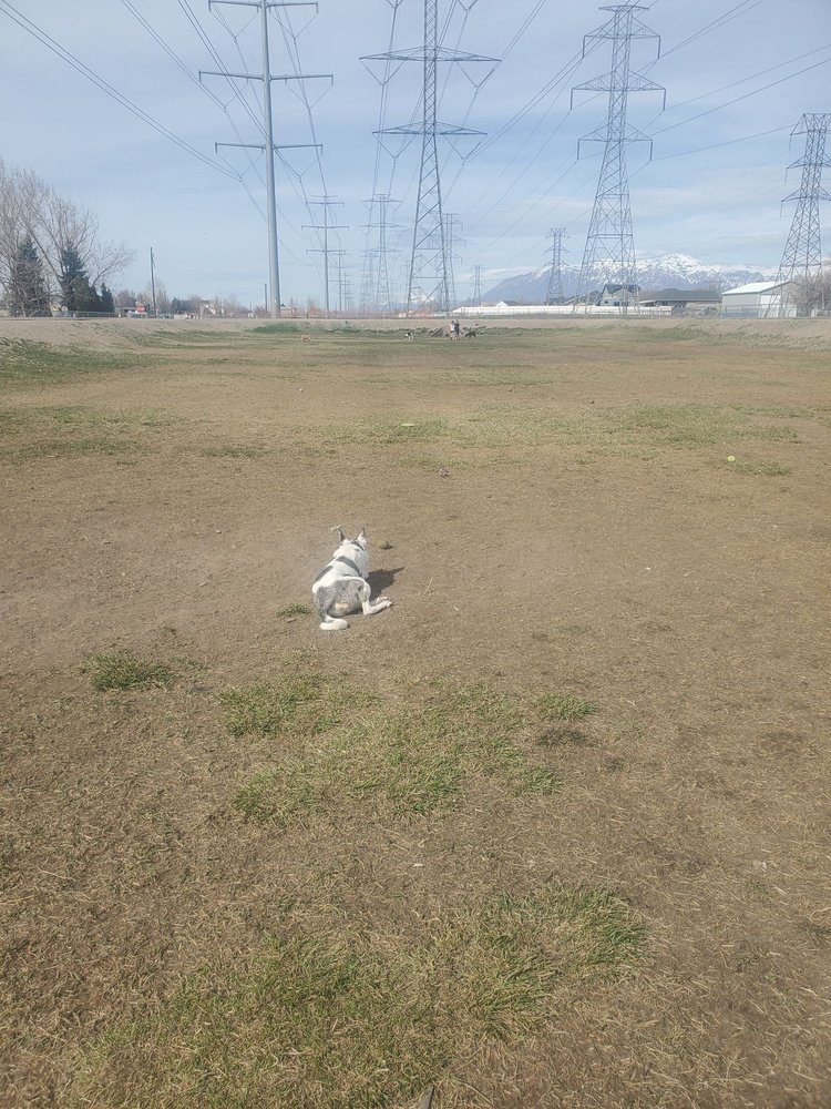 ROY DOG PARK Updated September 2024 5794 S 3260th W, Roy, Utah