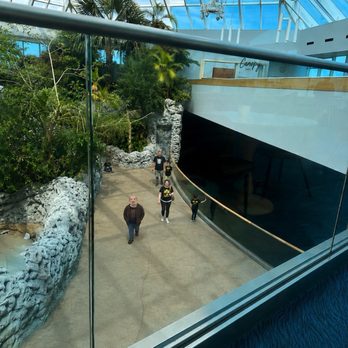 Texas State Aquarium - Bird area - Aquariums Near Me - Corpus Christi, Texas