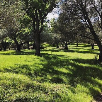 Pleasanton Ridge Regional Park - Parks Near Me - Pleasanton, California