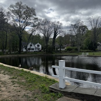 Roslyn Pond Park - Parks Near Me Roslyn Pond Park - Parks Near Me