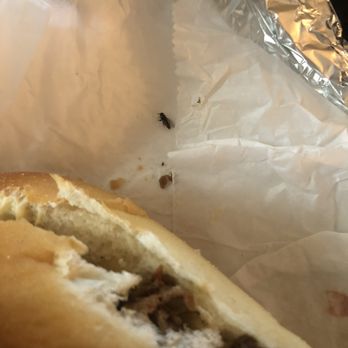 Village Sub Shop - Philly Chicken-cheese steak, with Onions, Peppers and marinara Sauce - Sandwiches Near Me - South Orange, New Jersey Village Sub Shop - Philly Chicken-cheese steak, with Onions, Peppers and marinara Sauce - Sandwiches Near Me - South Orange, New Jersey