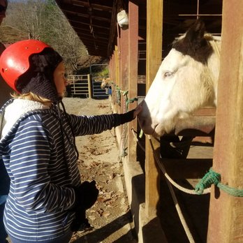 Sandy Bottom Trail Rides - My daughter loved petting the horses while we waited to go on our ride. - Horseback Riding Near Me - Marshall, North Carolina Sandy Bottom Trail Rides - My daughter loved petting the horses while we waited to go on our ride. - Horseback Riding Near Me - Marshall, North Carolina