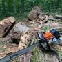 Photo of Sizemore Tree Works
