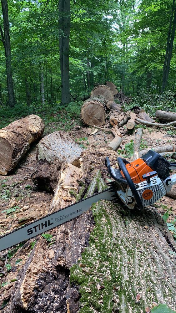 Sizemore Tree Works - tree service in Cincinnati, OH