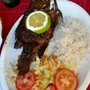 Photo of Productores de Mojarra Enriquez