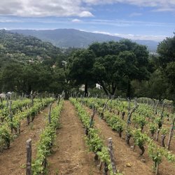 La Rusticana d'Orsa