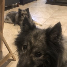 Bella & Bear Bella & Bear