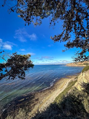 Palos Verdes Estates Shoreline Preserve by null