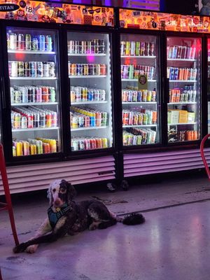 Bart's Mart by null