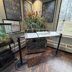 Prairie Grass Nature Museum - Round Lake Area Park District