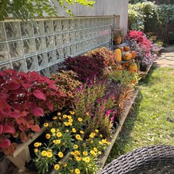 Foliage & Flora - Fall seasonal plants