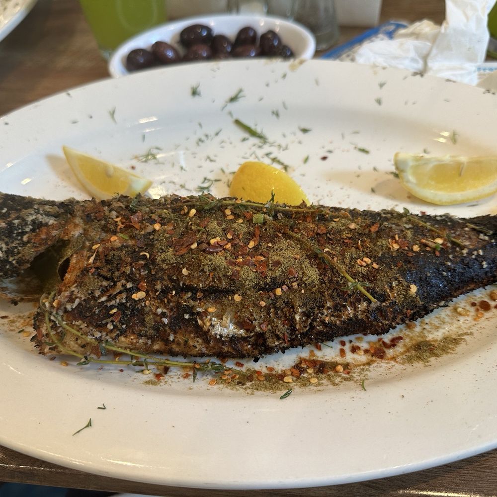 Seagull - Grilled banzino with Mediterranean spices! - Seafood Near Me - Paterson, New Jersey Seagull - Grilled banzino with Mediterranean spices! - Seafood Near Me - Paterson, New Jersey