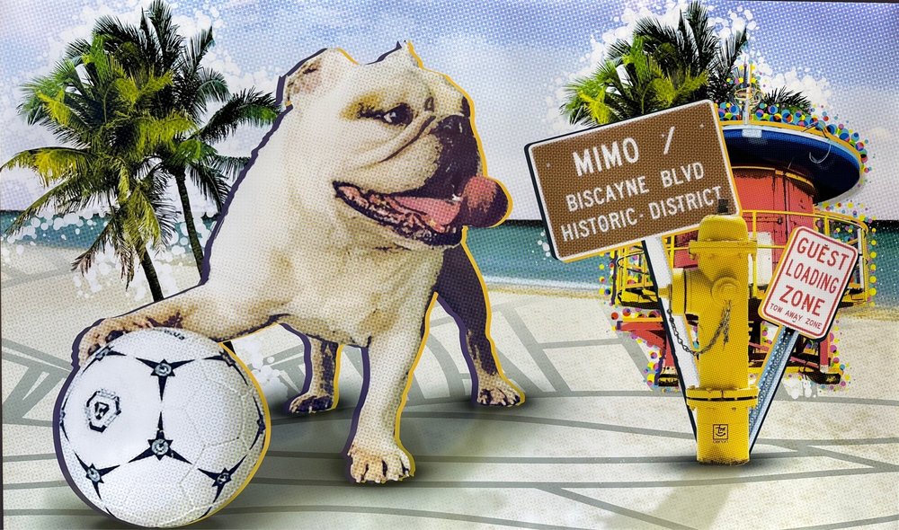 Pet Lounge Image