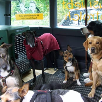 Hundeausführservice - Dog Walkers Near Me - Berlin, BE Hundeausführservice - Dog Walkers Near Me - Berlin, BE