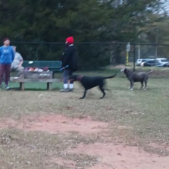 Floral Dog Park - The Gathering - Dog Parks Near Me - Opelika, Alabama Floral Dog Park - The Gathering - Dog Parks Near Me - Opelika, Alabama